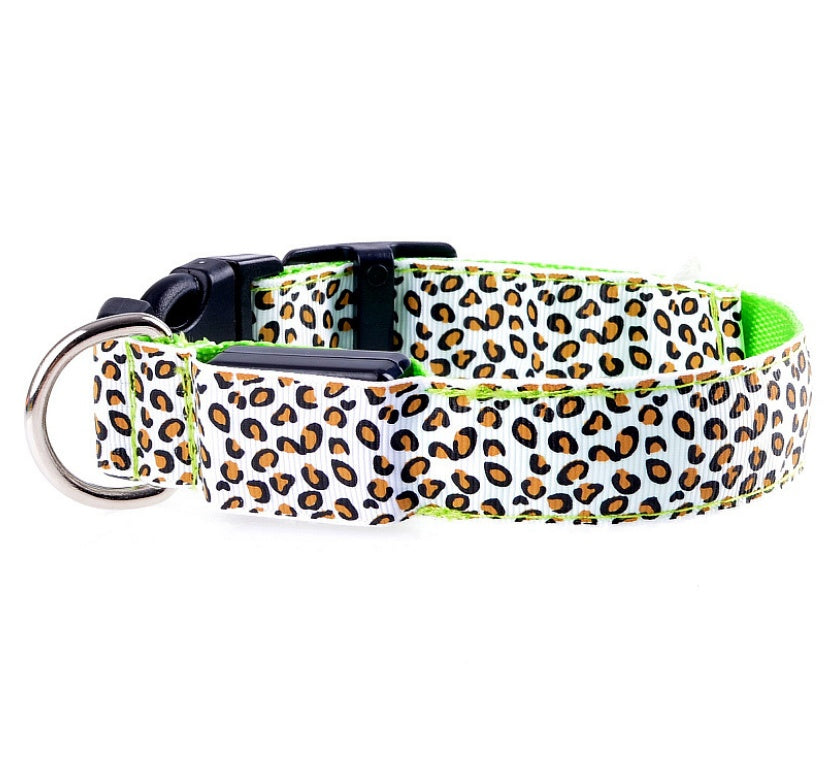 Fabolous LED Dog Collar For Safety At Night