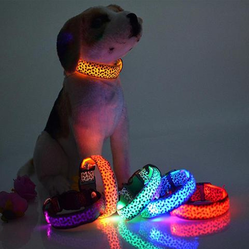 Fabolous LED Dog Collar For Safety At Night