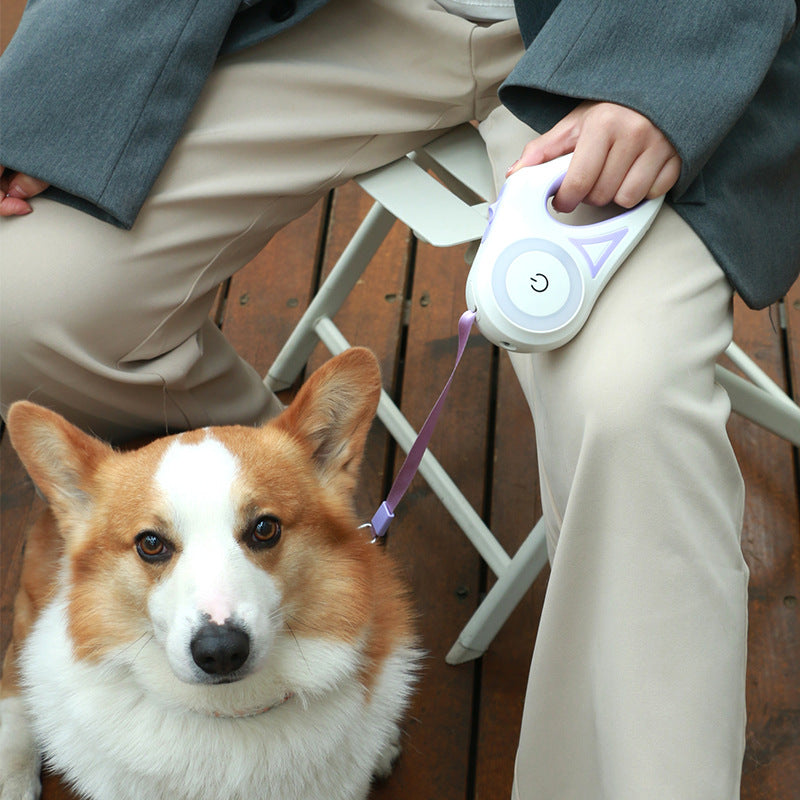 Fantastic Dog Leash With Built In Spotlight For Extra Safety