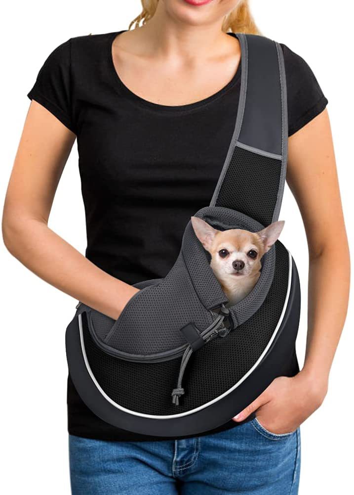 Pet Bag For Carrying Small Dogs
